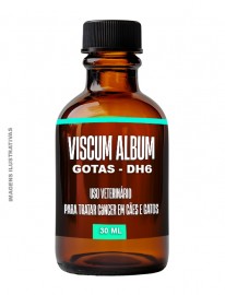 3 frascos Viscum Album gotas - contra cncer em ces e gatos (sob demanda)